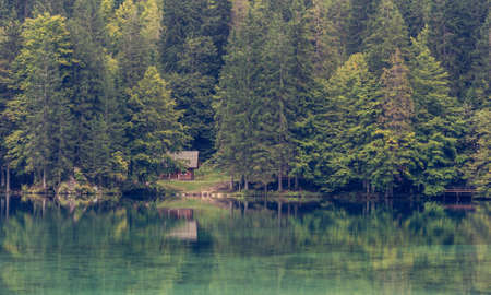 Wooden cabin surrounded with pine forest at lake shore.の写真素材