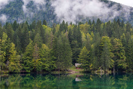 Wooden cabin surrounded with pine forest at lake shore.の写真素材
