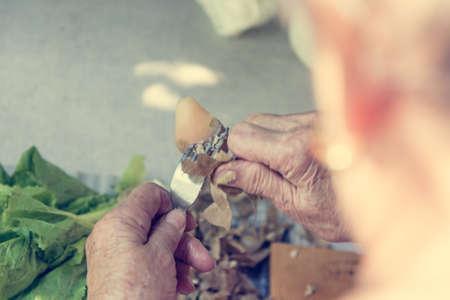 Closeup of elderly hands peaing potatoe.の写真素材