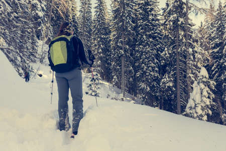 Female hiker walking in a winter forest.の写真素材