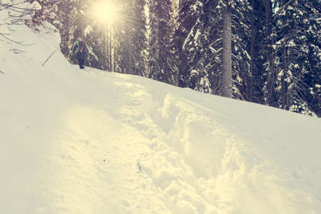 Path trhough fresh snow.の写真素材