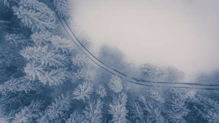 Aerial view of snow covered forest meadow.の写真素材