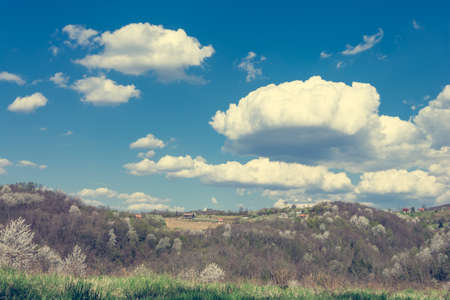 Countryside at spring time.の写真素材