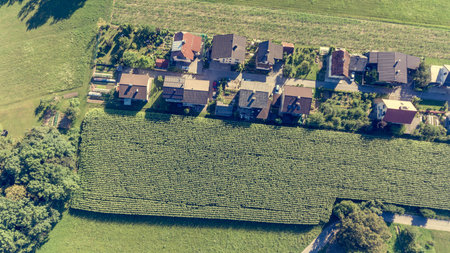 Drop down view of rural houses next to corn field.
