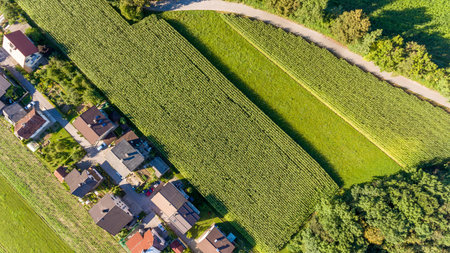 Drop down view of rural houses next to corn field.