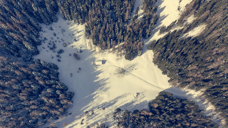 Drop down view of road going through winter forest.