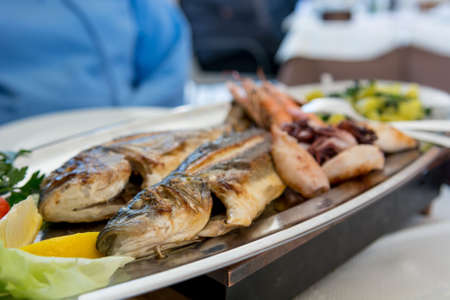 Plate of delicious grilled sea food.の写真素材