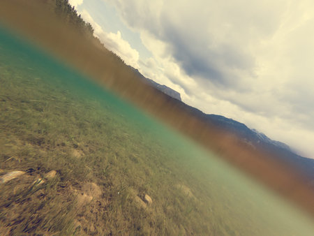 Underwater view of crystal clear forest lake.