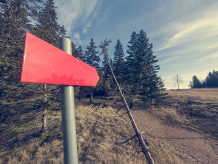 Red sign post pointing into a forest.
