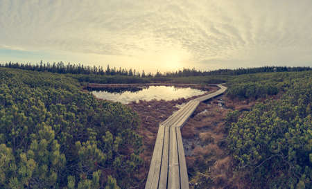 Spectacular sunset view of a lake surrounded by wetlands.の写真素材
