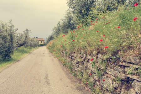 Countryside view of poppy flowers growing along old road.の写真素材