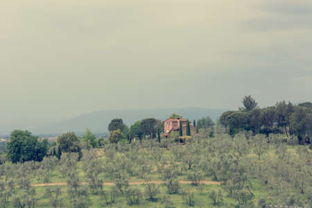 Traditional vineyard surrounded by lush vegetation covering rolling hills.の写真素材