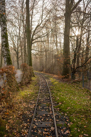 Old rail road track running through autumn forest.の写真素材