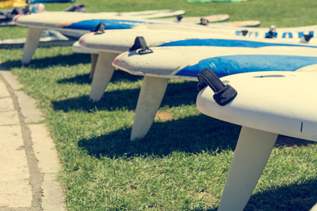 Closeup of sup boards on grass waiting to be taken to water.