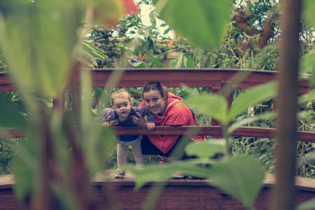 Mother and daughter posing on a wooden bridge in jungle.の写真素材