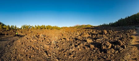 Panoramic view of old lava flow - Chinyero erupted in 1909.の写真素材