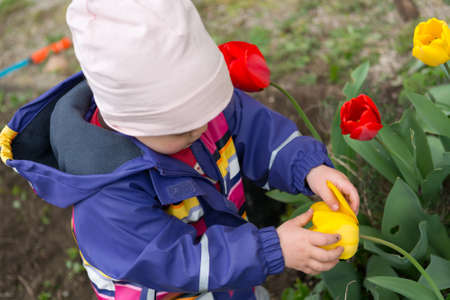 Small girl exploring the garden and helping with spring cleaning.の写真素材