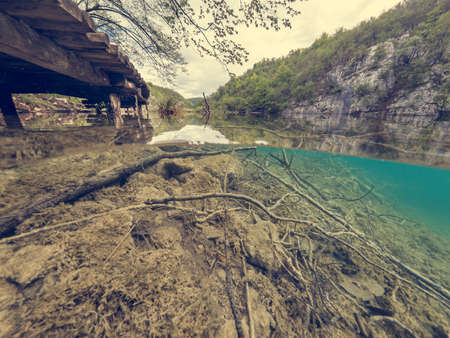 Split view of boardwalk crossing a lake.の写真素材