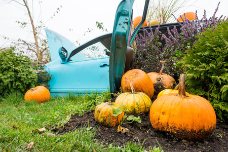 Many pumpings and plants invading old car outdoor.