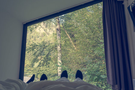 Cozy point of view from bed looking through window into forest.