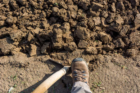 Male gardener preparing garden for spring planting.の写真素材