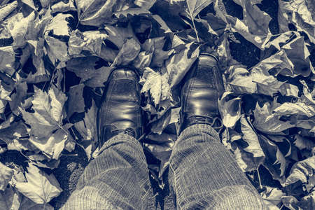 Drop down view of male male feet weating black leather shoes walking over autumn leaves.の写真素材