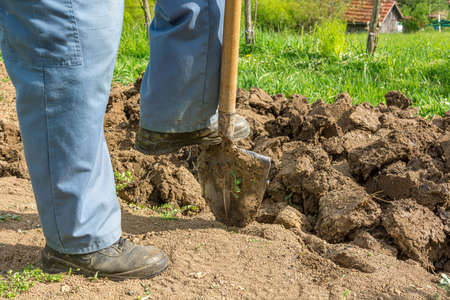 Male gardener preparing garden for spring planting. Low angle view of shoveling.の写真素材