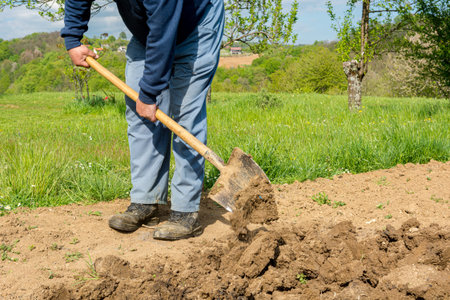 Male gardener preparing garden for spring planting. Low angle view of shoveling.