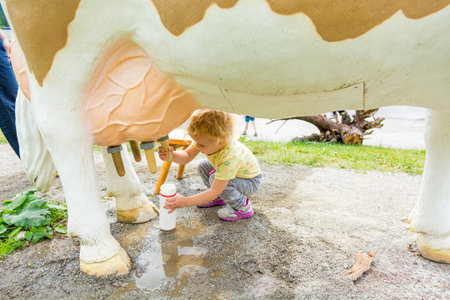Cute blonde girl learning how to milk a cow on milking simulator.