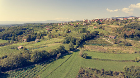Spectacular countryside aerial view of many fields and vineyards.