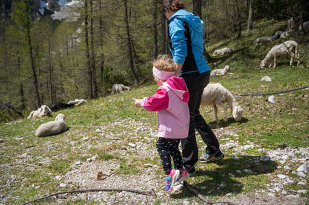Mother and daughter looking at flock of sheep in nature.の写真素材