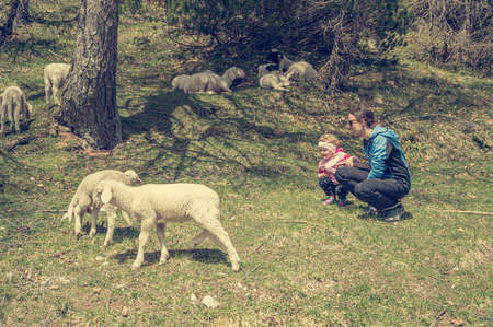 Mother and daughter looking at flock of sheep in nature.の写真素材