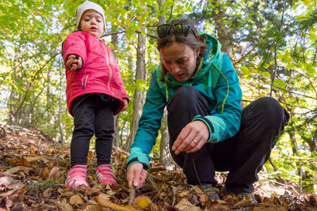 Mother and daughter picking fresh chesnuts in the forest.