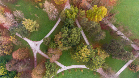 Drop down view of many trails running through trees in a park.の写真素材