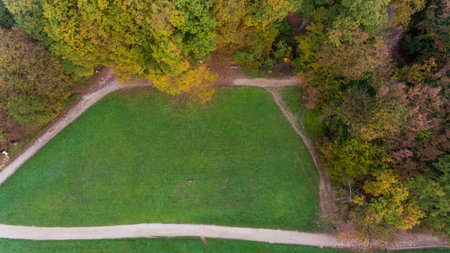 Drop down view of many trails running through trees in a park.の写真素材