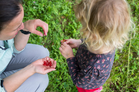 Mother and daughter picking redcurrant from their organic garden.