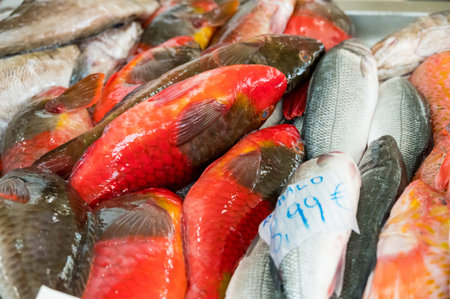 Fresh tropical ocean fish on ice ready for customers at market.