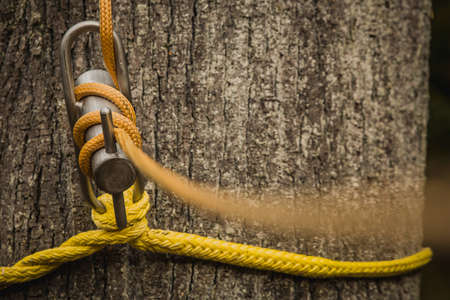 Rope on a winch or hold around the tree, used by arborists to lower down cut away trunk piecesの写真素材