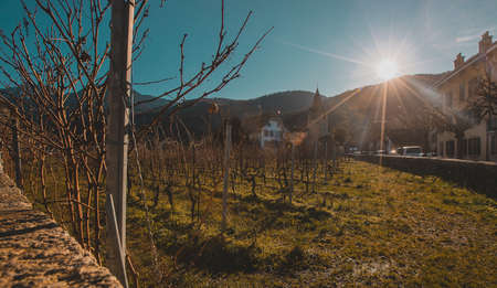 Beautiful panorama the church in city of Aigle in Switzerland with visible castle and vineyards. Beautiful mountain backdrop.の写真素材