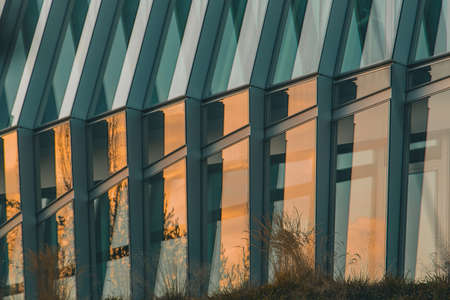Modern facade of a building made of glass and metal, with reflection of sunset and trees visible in the glass.の写真素材