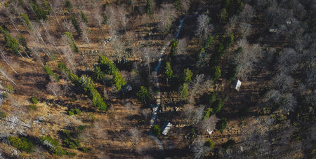 Aerial view of army barracks or cottages hiding in the depths of forest at Kocevje or Kocevski rog....