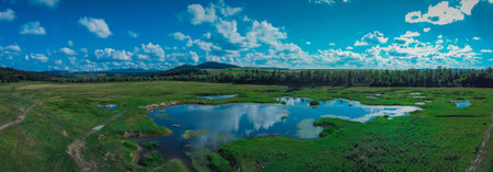 Aerial view of herd of white sheep next to cute lakes in central Romania on a summer day with fluffy...
