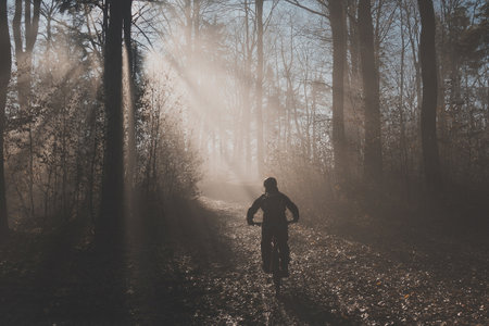 MTB or mountain biker riding up in misty forest with sun behind him. Silhouette of a mountain biker in the foggy woods, beautiful sport silhouetteの写真素材
