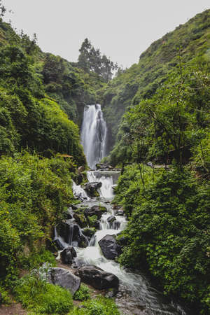 A small waterfall in a lush green environmnent in Ecuador.の写真素材
