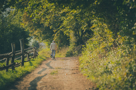 Older person taking a stroll with a dog on a fire road on countryside in evening hours with soft...