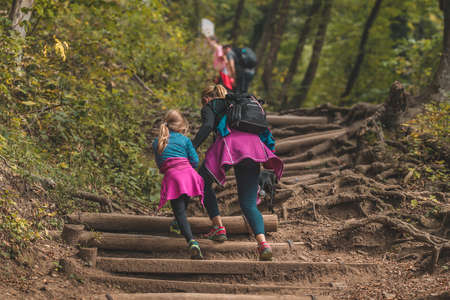 Young woman and a kid with a dog are climbing up the wooden stair path in the mountains on a hiking trip. Young family in sports clothing climbing up on a hill.の写真素材