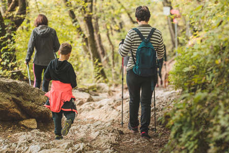 Older woman and two kids are descending on a mountain path in a forest. A group using hiking poles and sport clothes to descend down the hiking path.の写真素材