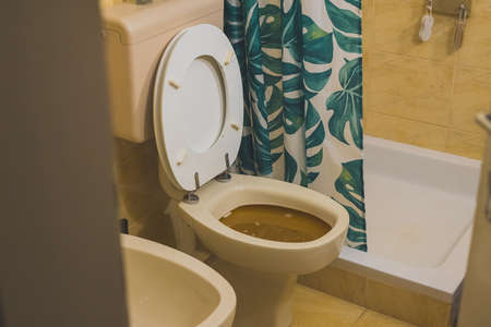 Toilet filled up to the rim with brown water, stuck debris in a home toilet. Help, plumber wanted! Please unclog my toilet bowl!の写真素材