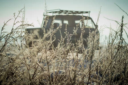 Frozen branches in the sun, with a pick up car or a van in the background.の写真素材