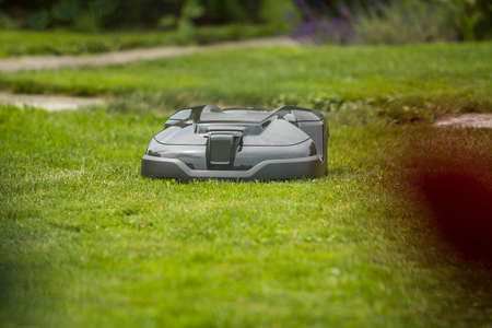A robotic mower in dark green shiny color  is mowing a fancy lawn, viewed from a low angle.の写真素材